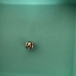 Pumpkin pandora charm